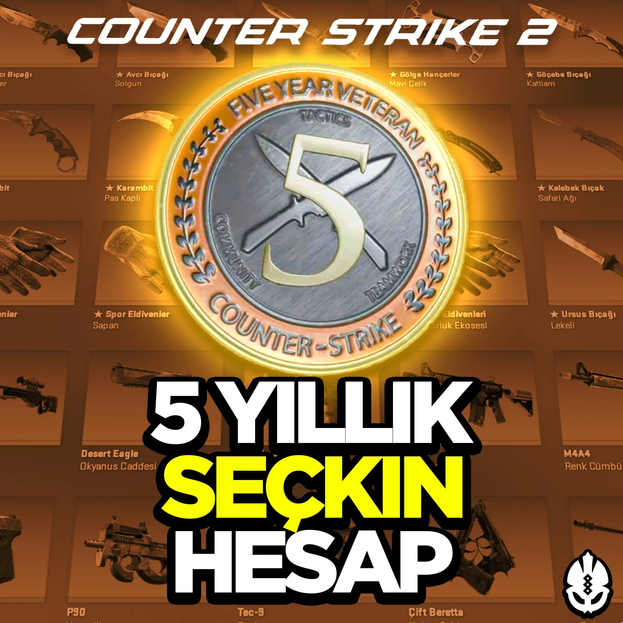 5-yillik-seckin-hesap-cs2-seckin-hesap